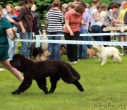 Превью фото № 226902