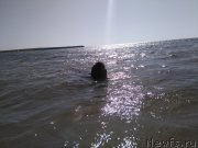 Превью фото № 226905