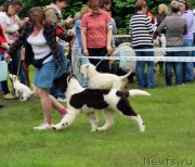 Превью фото № 226907