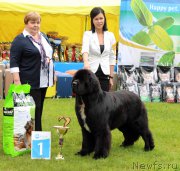 Превью фото № 226914