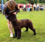 Превью фото № 226921