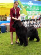 Превью фото № 226925