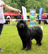 Превью фото № 226931