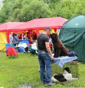 Превью фото № 226940