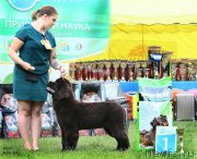 Превью фото № 226974