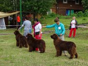 Превью фото № 226986