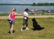 Превью фото № 227037