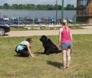 Превью фото № 227044