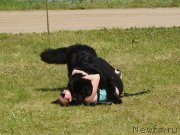 Превью фото № 227046