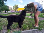 Превью фото № 227059