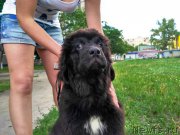 Превью фото № 227062