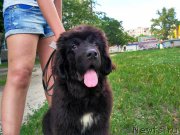 Превью фото № 227064