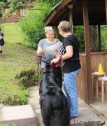 Превью фото № 227112