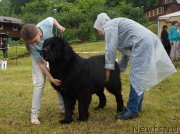 Превью фото № 227139