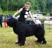 Превью фото № 227143