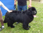 Превью фото № 227156