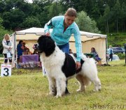 Превью фото № 227169