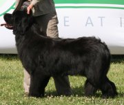 Превью фото № 227188