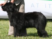 Превью фото № 227189