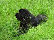 Превью фото № 227190