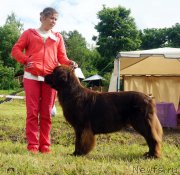 Превью фото № 227210