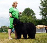 Превью фото № 227211