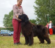 Превью фото № 227217