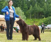 Превью фото № 227218