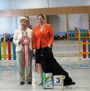 Превью фото № 227243