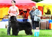 Превью фото № 227267