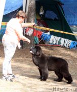 Превью фото № 227279