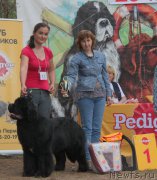 Превью фото № 227283