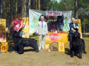 Превью фото № 227291