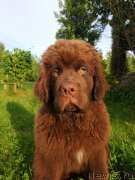 Превью фото № 227335