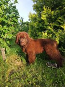 Превью фото № 227337