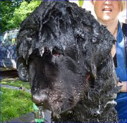 Превью фото № 227361