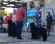 Превью фото № 227436