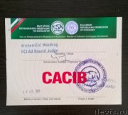 Превью фото № 227448