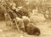 Превью фото № 227467