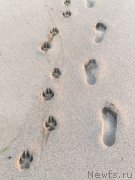 Превью фото № 227496