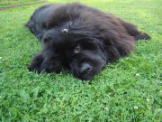 Превью фото № 227531