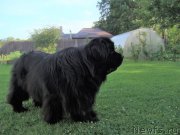 Превью фото № 227534