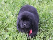 Превью фото № 227569