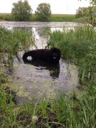 Превью фото № 227653