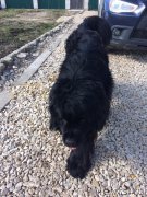 Превью фото № 227655