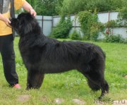 Превью фото № 227656