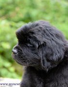 Превью фото № 227746