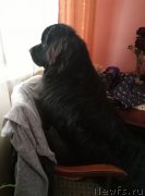 Превью фото № 227772