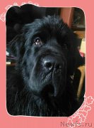 Превью фото № 227773