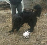 Превью фото № 227774